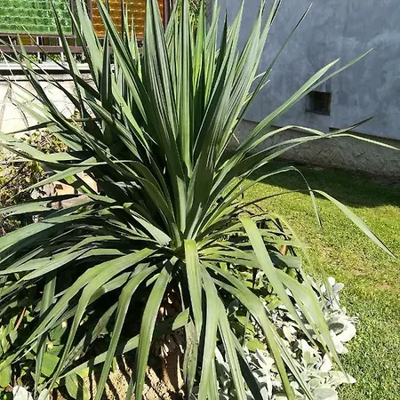 Gulyas Vendeghaz Konukevi