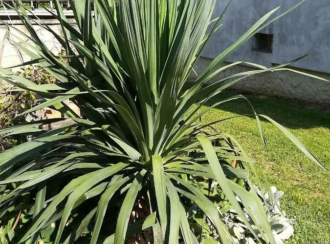 Gulyas Vendeghaz Gasthuis